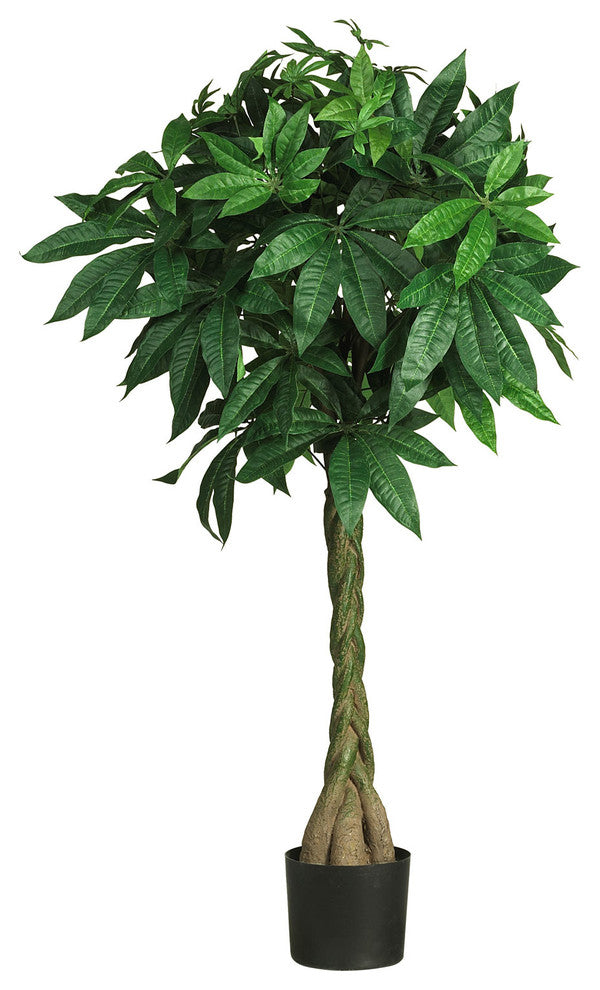 51" Braided Money Tree
