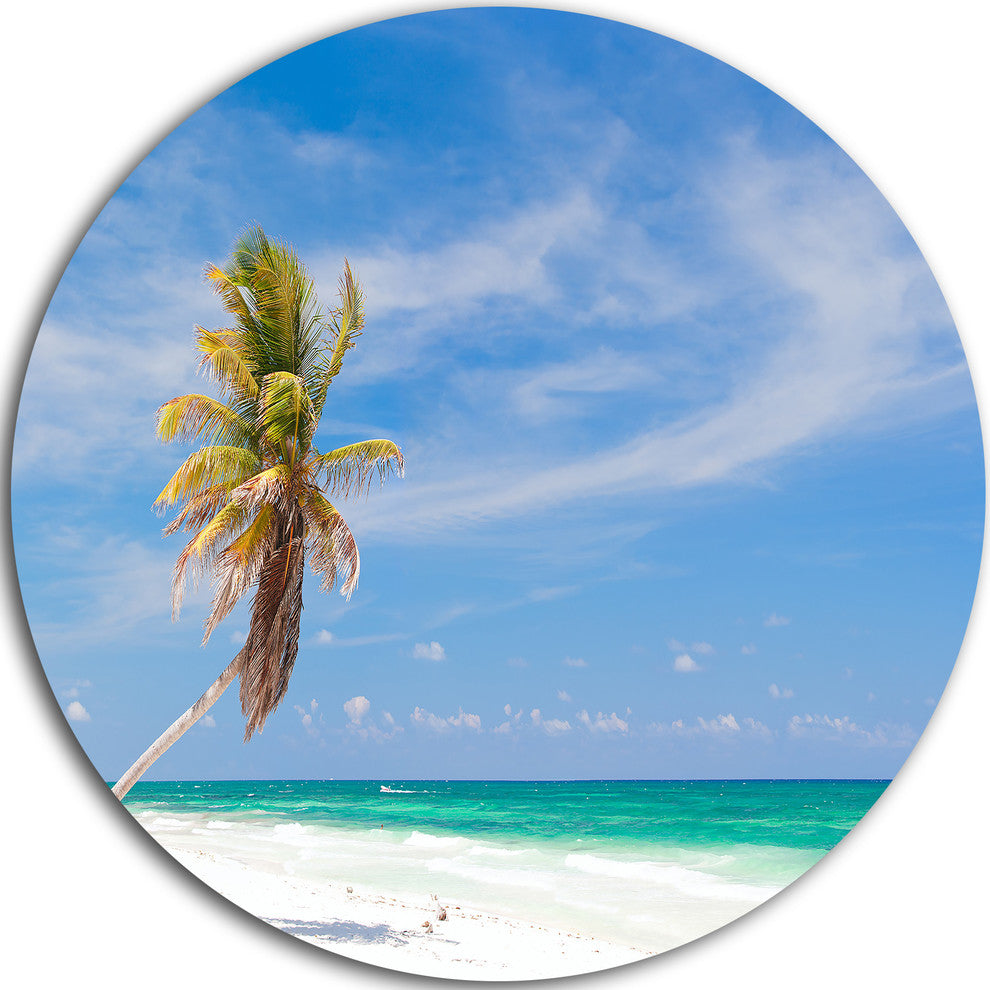 Solitary Coconut Palm At Beach, Seashore Photo Disc Metal Wall Art, 23"