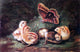 Arthur Fitzwilliam Tait Young Chickens - 18" x 27" Premium Canvas Print