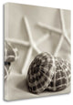 "Crystal Harbor - 20" By Alan Blaustein, Giclee Print on Gallery Wrap Canvas
