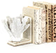 White Coral Bookends, Set of 2