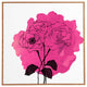 Deny Designs Morgan Kendall Pink Spray Roses Framed Wall Art