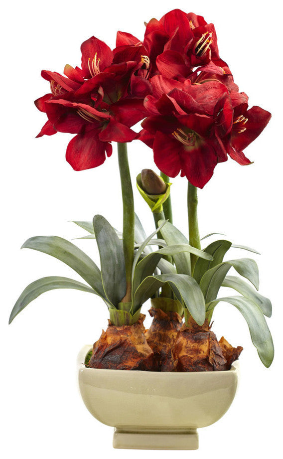 Amarylis Arrangement With Vase