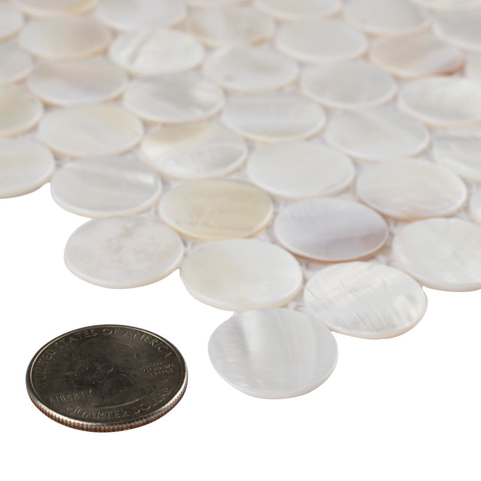 Conchella Mini Penny White Natural Shell Wall Tile