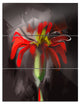"Abstract Red Flower" Glossy Metal Wall Art, 3 Panels, 28"x36"