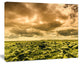 Beautiful View of Sky and Moss, Large Landscape Canvas Art, 20"x12"