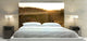"Sunset Over Stump" Headboard