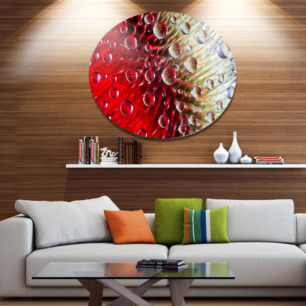Colorful Red Flower In Raindrops, Floral Disc Metal Artwork, 38"