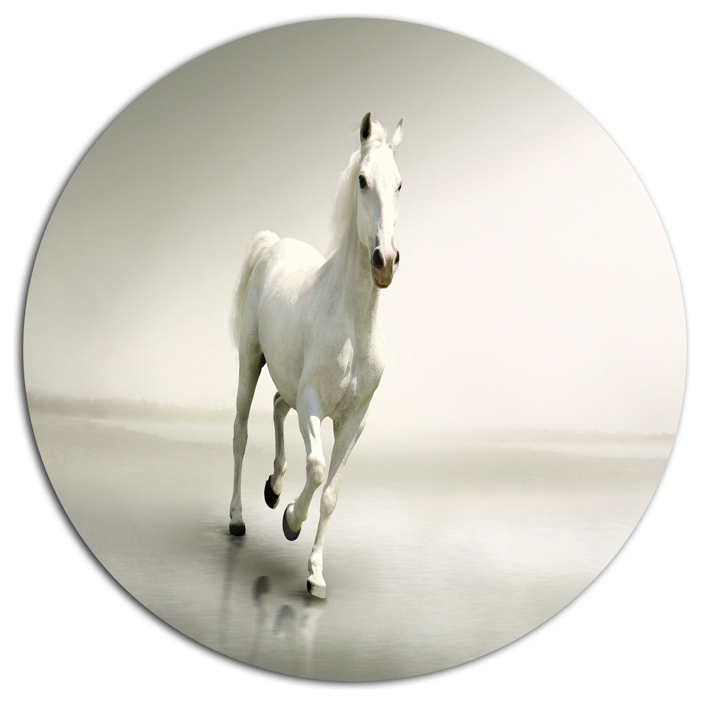 Beautiful White Horse Running, Animal Round Metal Wall Art, 36"