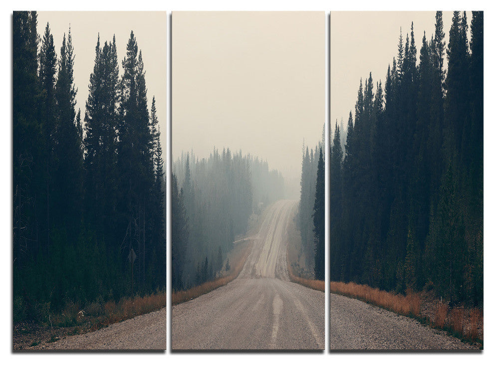 "Foggy Road in Forest in Banff Park" Metal Wall Art, 3 Panels, 36"x28"