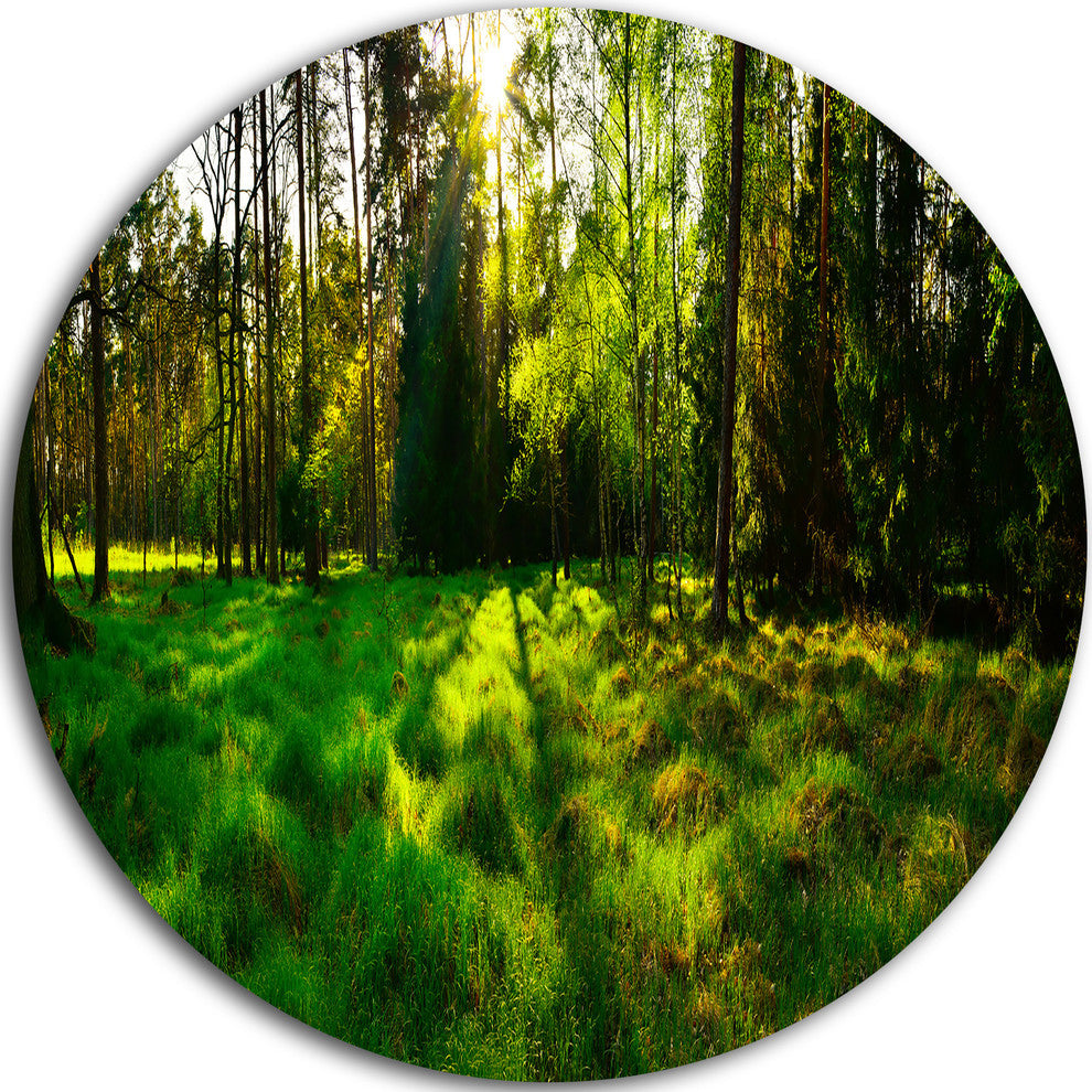 Green Forest Sunset Panorama, Landscape Round Wall Art, 23"