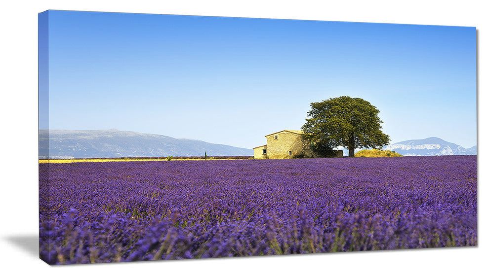 "Lavender Flowers Blooming Field" Landscape Wall Art Print, 32"x16"