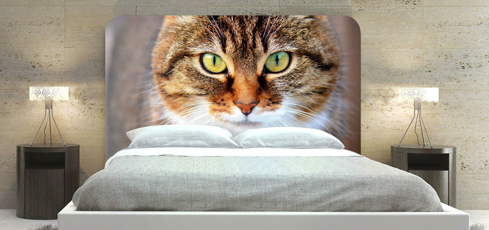 "Cat 30" Headboard