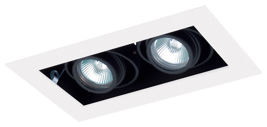 2-Light Linear Remodel, White Trim, Black Gimbal, Black