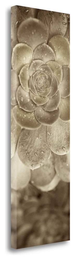 "Florison - 91" By Alan Blaustein, Giclee Print on Gallery Wrap Canvas