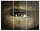 "Aging Eyes" Metal Wall Art, 3 Panels, 36"x28"
