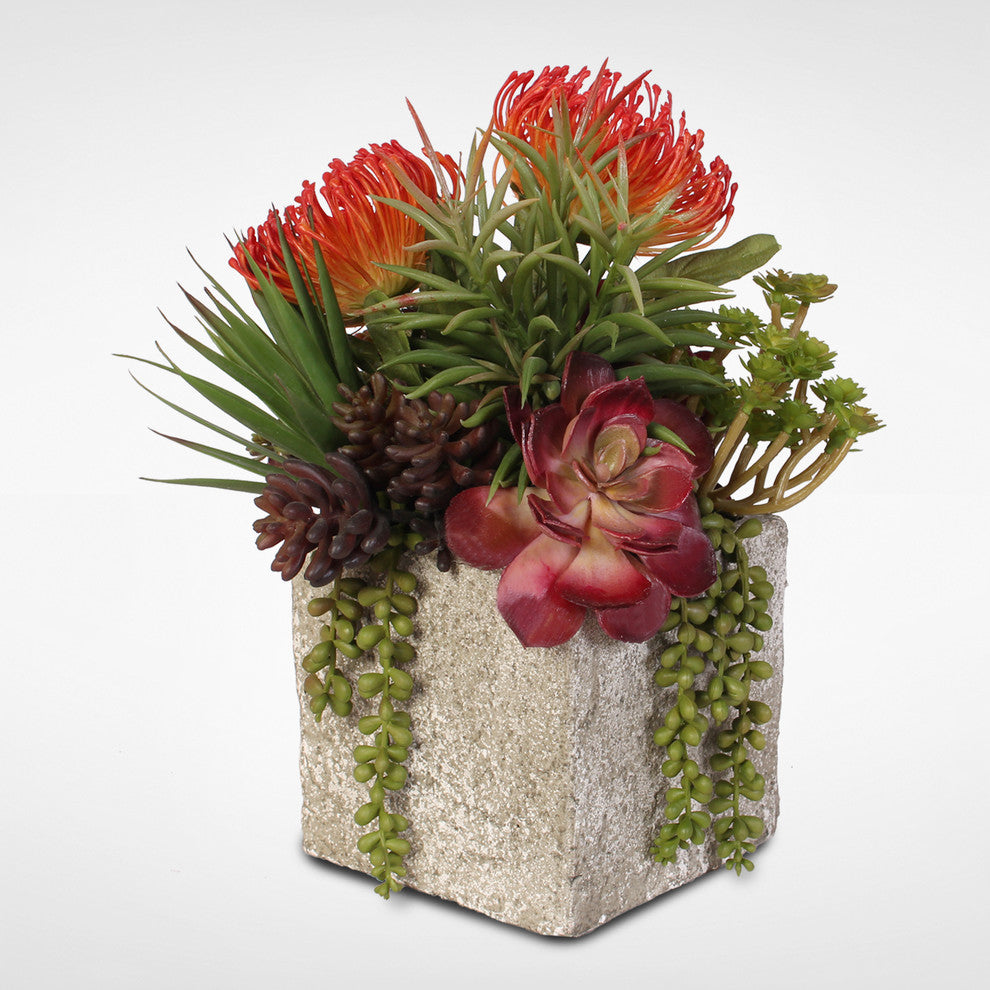 Jade Plant and Rosette Succulents Arrangement in Cement Pot