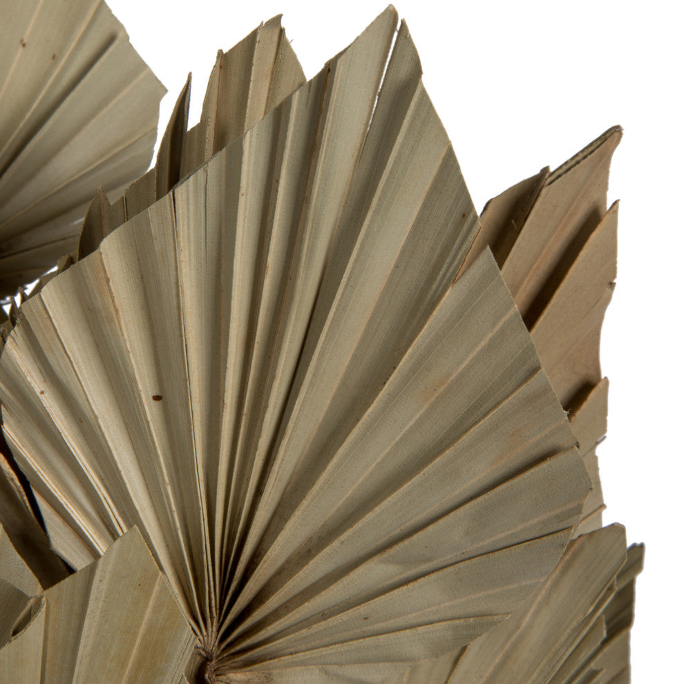 Vickerman Natural Botanicals 20" Palm Spear, Natural. 50 pieces per Pack.
