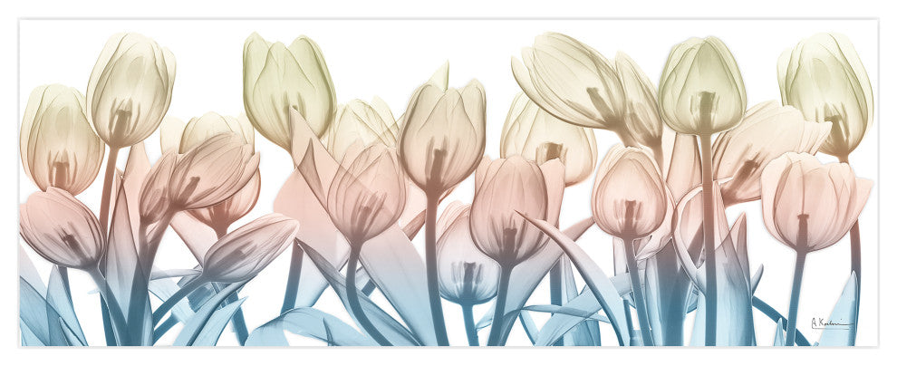 "Spring Blooms" Frameless Free Floating Panel Graphic Wall Art, 24"x63"