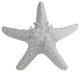 Metallic Giant Knobby Starfish, 13", Silver