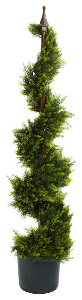 4' Cypress Spirial Silk Tree