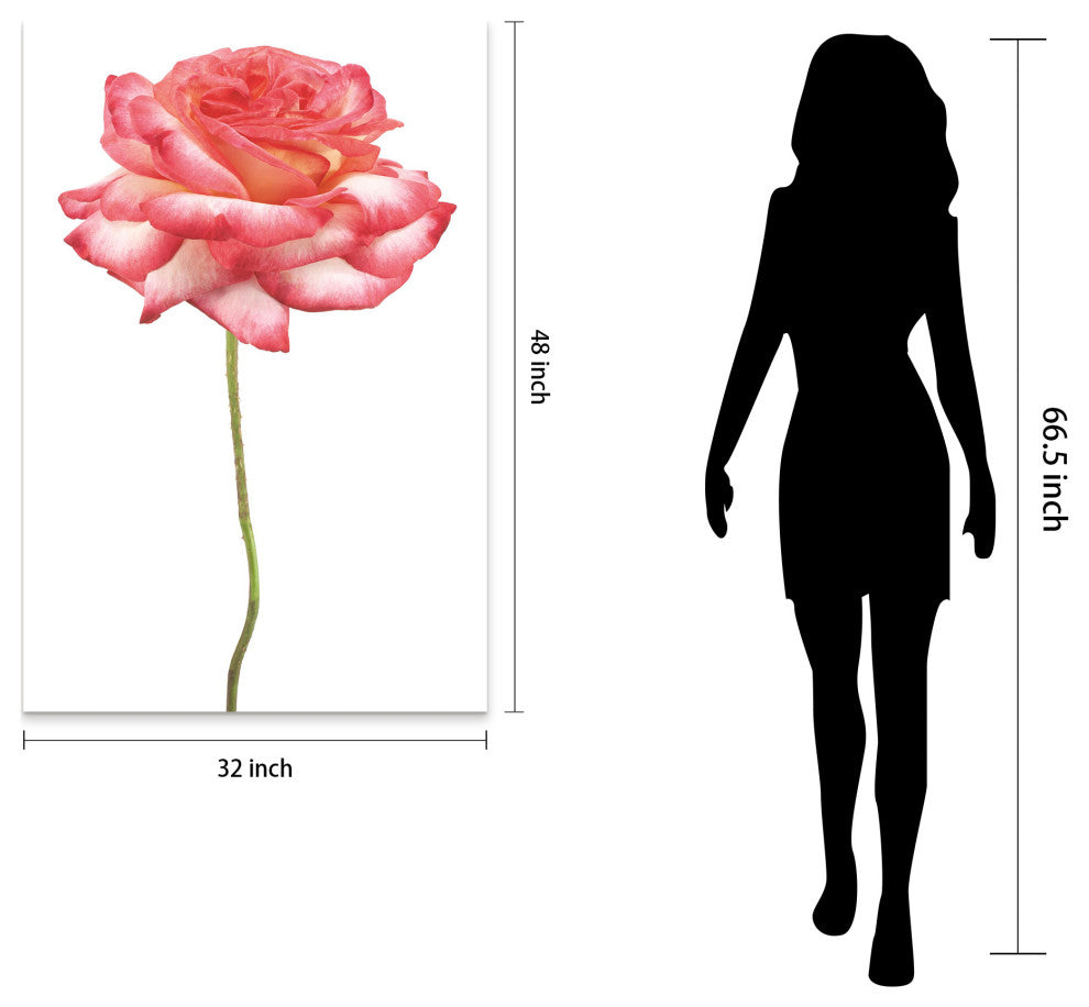 Pink Rose Wall Art Frameless Free Floating Tempered Art Glass, 32"x 48"