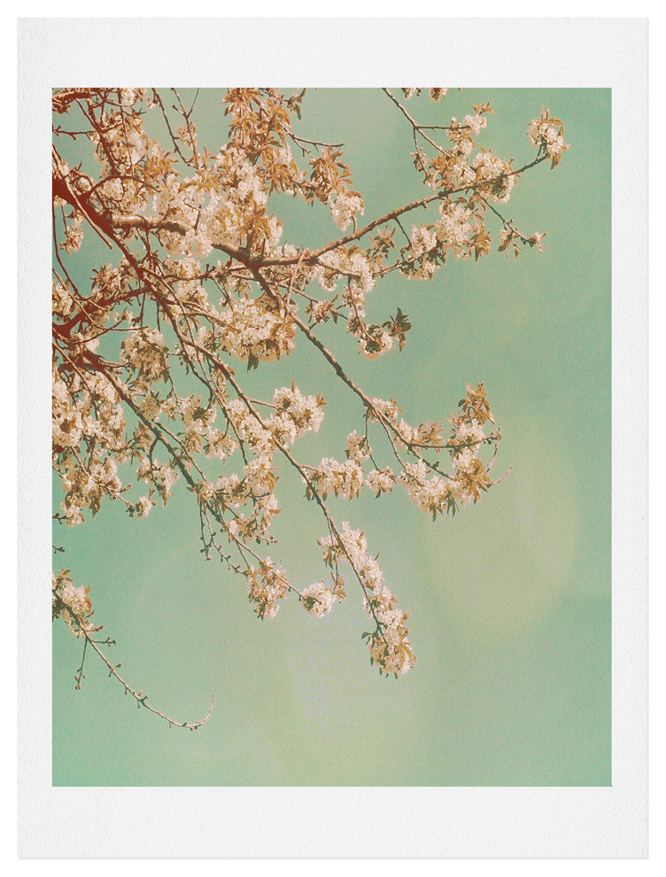 Deny Designs Happee Monkee Plum Blossoms Art Print