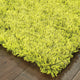 Milan Shag Shag Green and Green Rug, 5'x7'