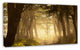 Deep Jungle with Foggy Sunlight, Oversized Landscape Canvas Art, 32"x16"