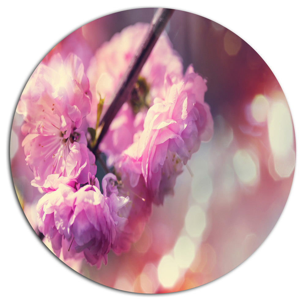 Beautiful Almond Tree Flowers, Floral Large Disc Metal Wall Art, 11"