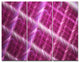 Pink Abstract Metal Grill, Abstract Art on Canvas, 36x28, 3 Panels