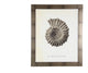 Sealife Print, Copper Frame