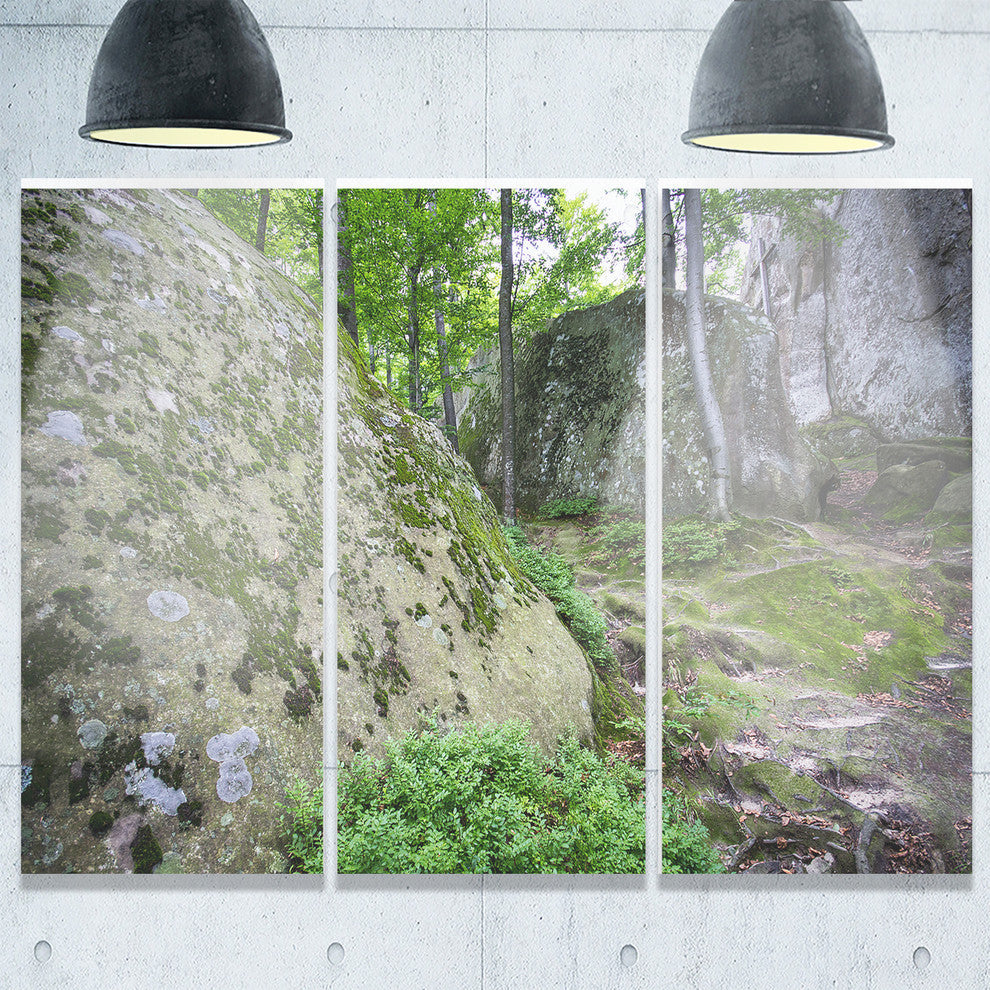 "Rocky Deep Moss Forest Ukraine" Metal Wall Art, 3 Panels, 36"x28"