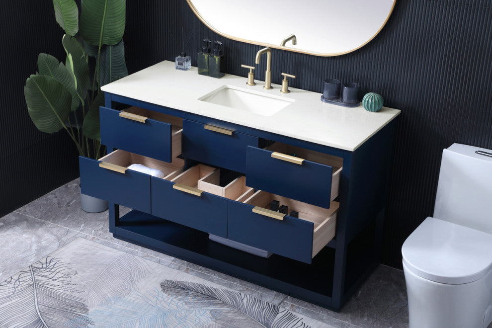 Louie 54" SIngle Bathroom Vanity, Blue