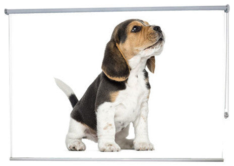 "Beagle Howling" Artwork, 5' Shade, Partial Sheer, Left