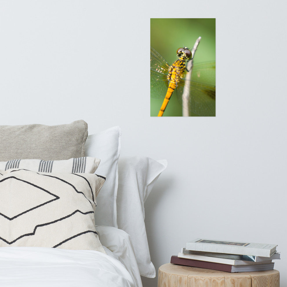 Dragonfly at Bombay Hook Wildlife Photography Unframed Wall Art Print, 12" X 18"