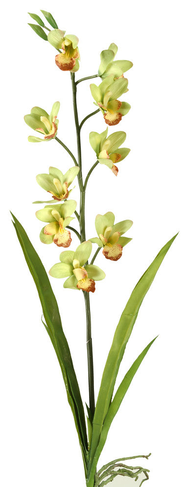 31" Cymbidium Orchid, Set of 3, Green