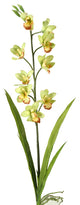 31" Cymbidium Orchid, Set of 3, Green