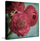 "Red Ranunculus" Painting Print on Canvas by Stalus
