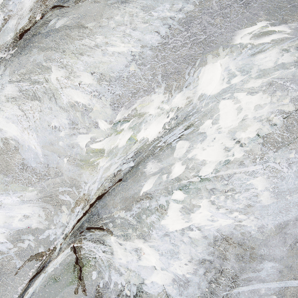 Pampas Grass Breeze II