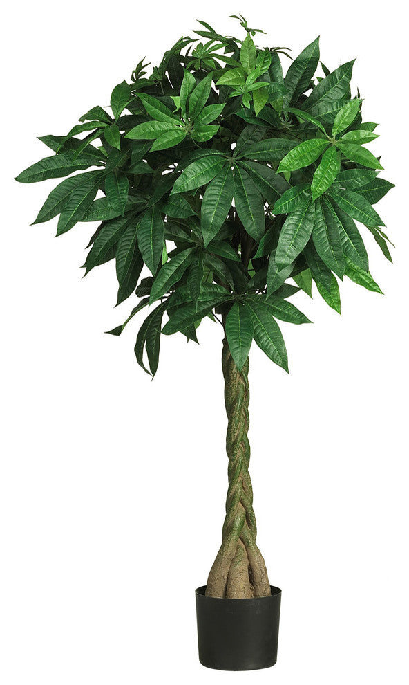 51" Braided Money Tree