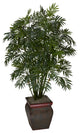 Mini Bamboo Palm With Decorative Vase