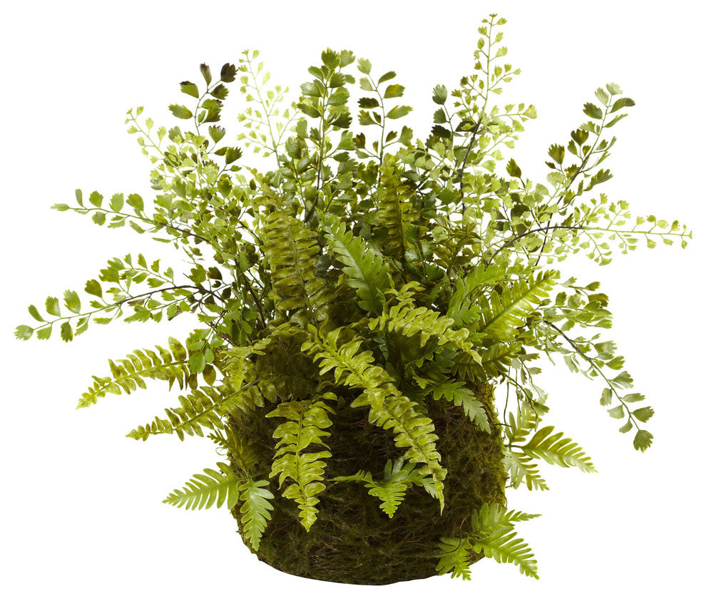 Mixed Fern With Twig and Moss Basket, Green