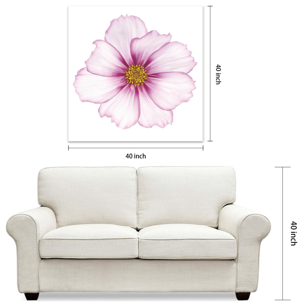 "Magenta Cosmo on White" Wall Art Frameless Free Floating Tempered Glass