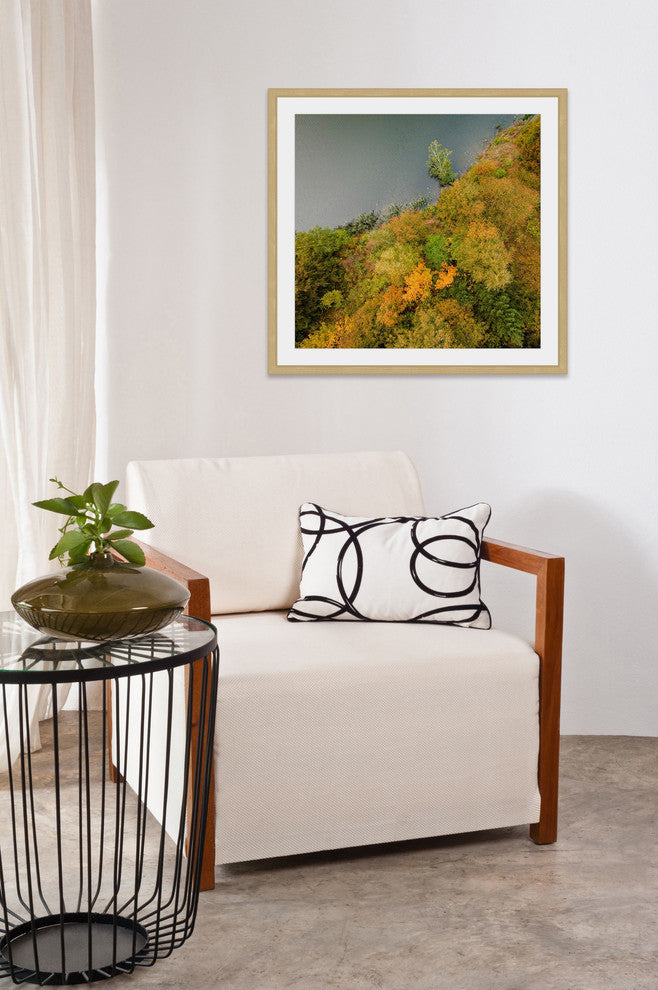 "Plant Wall" Framed Print by Karolis Janulis