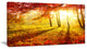 Yellow Red Fall Trees and Leaves, Landscape Canvas Art Print, 32"x16"