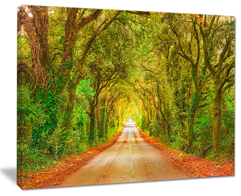 "Fall Greenery and Road Straight Ahead" Forest Wall Art, 20"x12"