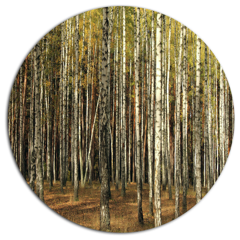 Green Fall Forest With Thick Trees, Forest Disc Metal Wall Art, 36"