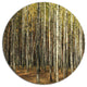 Green Fall Forest With Thick Trees, Forest Disc Metal Wall Art, 36"