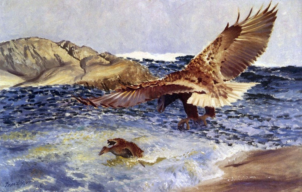 Bruno Liljefors A Sea Eagle Chasing Eider Duck - 18" x 27" Premium Canvas Print